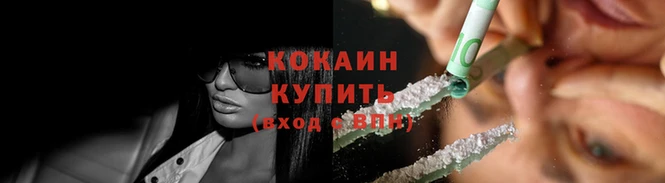 крисы Медвежьегорск