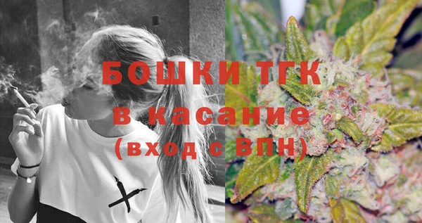 крисы Медвежьегорск