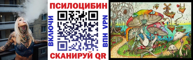 Псилоцибиновые грибы Psilocybine cubensis  Щигры 