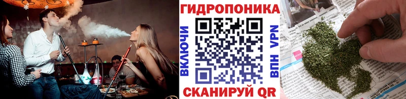Конопля ГИДРОПОН  Щигры 